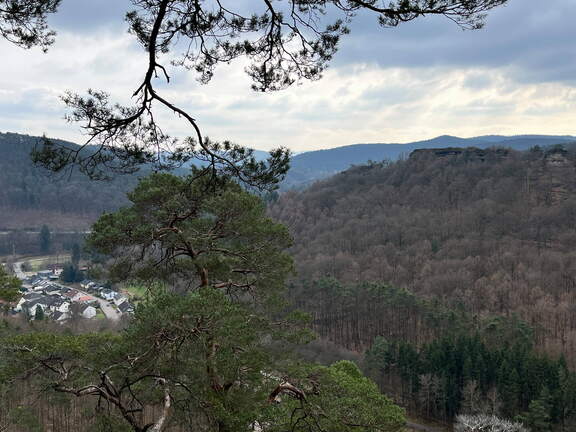 24-02-27 13-56-22 8748